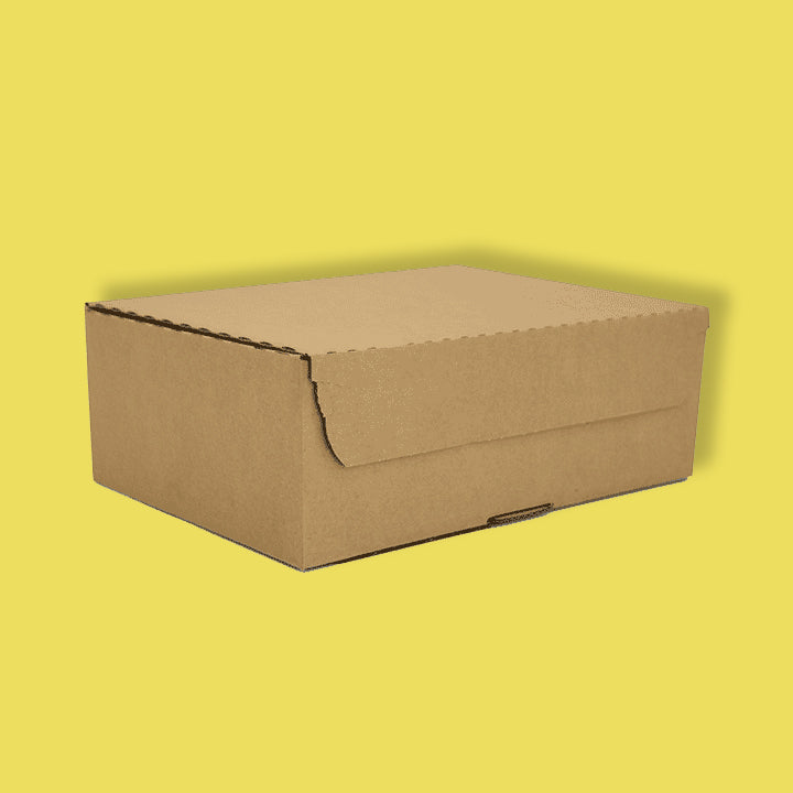 Brown E-Commerce Postal Box - 290mm x 208mm x 95mm
