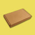 Brown PiP Small Parcel Postal Box - 340mm x 210mm x 50mm