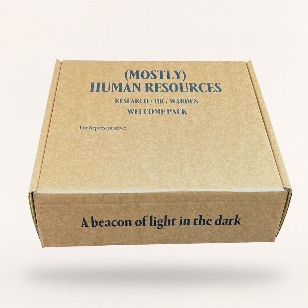 Customised Printed Small Parcel Postal Boxes Printed Sample