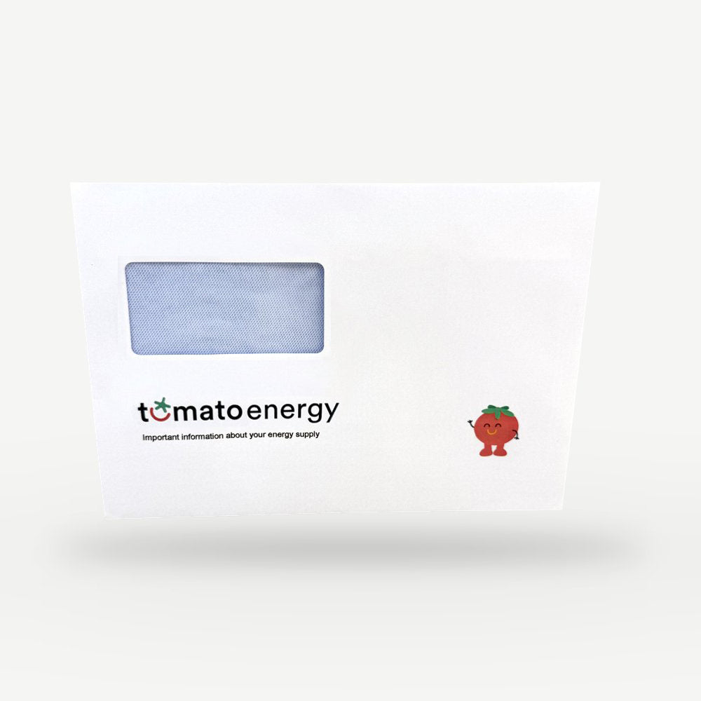 Customised Printed Folding Inserting Machine Envelopes Printed Sample