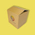 Custom Full Colour Printed Double Wall Cardboard Boxes - 229mm x 229mm x 229mm
