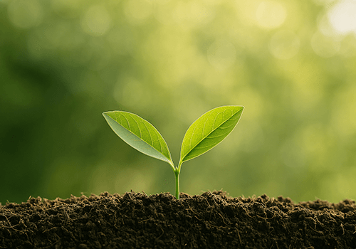 Sustainability